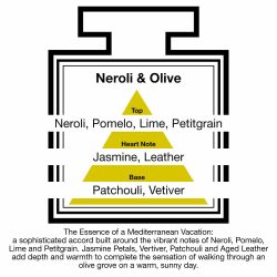 Fragrance Description Neroli Olive Pomelo Lime Leather Vetiver Fragrance Description Neroli Olive Pomelo Lime Leather Vetiver