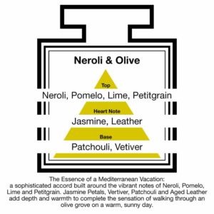 Fragrance Description Neroli Olive Pomelo Lime Leather Vetiver Fragrance Description Neroli Olive Pomelo Lime Leather Vetiver