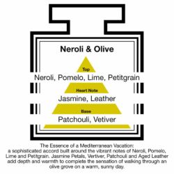 Fragrance Description Neroli Olive Pomelo Lime Leather Vetiver Fragrance Description Neroli Olive Pomelo Lime Leather Vetiver