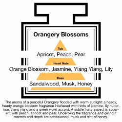 Fragrance Description Orangery Blossoms Apricot Ylang Honey Sandalwood Fragrance Description Orangery Blossoms Apricot Ylang Honey Sandalwood