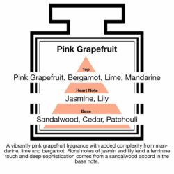 Fragrance Description Pink Grapefruit Mandarine Jasmine Patchouli Lime Fragrance Description Pink Grapefruit Mandarine Jasmine Patchouli Lime