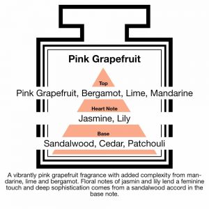 Fragrance Description Pink Grapefruit Mandarine Jasmine Patchouli Lime Fragrance Description Pink Grapefruit Mandarine Jasmine Patchouli Lime