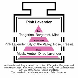 Fragrance Description Pink Lavender Tangerine Mint Rose Amber Fragrance Description Pink Lavender Tangerine Mint Rose Amber