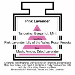 Fragrance Description Pink Lavender Tangerine Mint Rose Amber Fragrance Description Pink Lavender Tangerine Mint Rose Amber