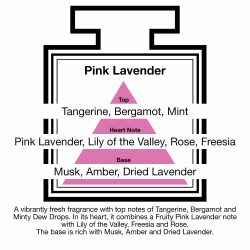 Fragrance Description Pink Lavender Tangerine Mint Rose Amber Fragrance Description Pink Lavender Tangerine Mint Rose Amber