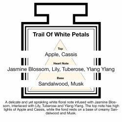 Fragrance Description Trail White Petals Jasmine Tuberose Ylang Fragrance Description Trail White Petals Jasmine Tuberose Ylang