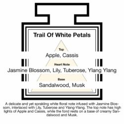 Fragrance Description Trail White Petals Jasmine Tuberose Ylang Fragrance Description Trail White Petals Jasmine Tuberose Ylang