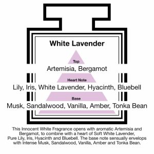 Fragrance Description White Lavender Artemisia Lily Musk Vanilla Fragrance Description White Lavender Artemisia Lily Musk Vanilla