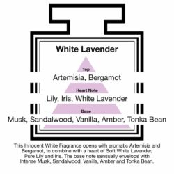 Fragrance Description White Lavender Artemisia Lily Musk Vanilla Fragrance Description White Lavender Artemisia Lily Musk Vanilla