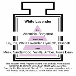 Fragrance Description White Lavender Artemisia Lily Musk Vanilla Fragrance Description White Lavender Artemisia Lily Musk Vanilla