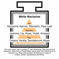 Fragrance Description White Nectarine Apricot Mandarin Pear Aniseed Fragrance Description White Nectarine Apricot Mandarin Pear Aniseed