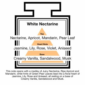 Fragrance Description White Nectarine Apricot Mandarin Pear Aniseed