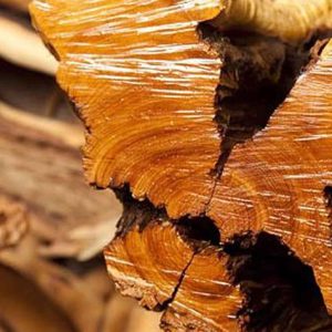 PAIRFUM sandalwood home fragrance perfume PAIRFUM sandalwood home fragrance perfume