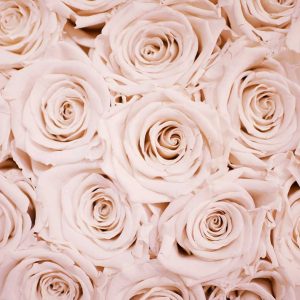Pairfum Home Fragrance Rose Fragranced Candle Lauza Loistl Pairfum Home Fragrance Rose Fragranced Candle Lauza Loistl