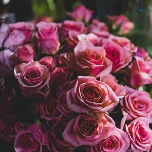 Pairfum Room Fragrance Rose Perfumed Candle Logan Cameron Pairfum Room Fragrance Rose Perfumed Candle Logan Cameron