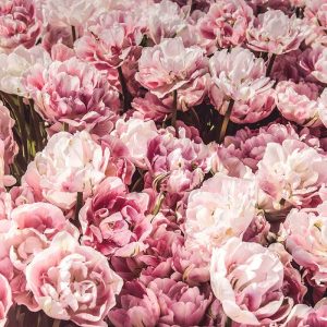 Pairfum Room Fragrance Rose Perfumed Candle Mira Bozhko Pairfum Room Fragrance Rose Perfumed Candle Mira Bozhko