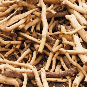 White Sandalwood Reed Diffuser Essential Oil White Sandalwood Reed Diffuser Essential Oil