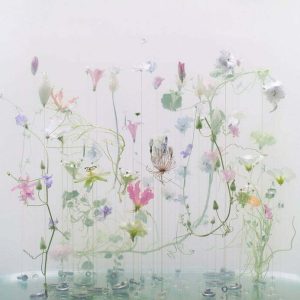 anne ten donkelaar underwater ballet photo series 3
