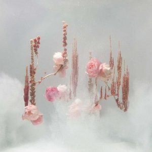anne ten donkelaar underwater ballet photo series 6
