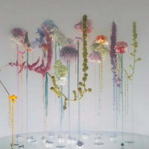 anne ten donkelaar underwater ballet photo series 7