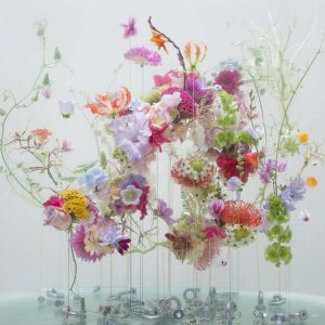 anne ten donkelaar underwater ballet photo series