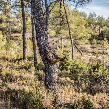 perfume man woman merge human nature 1 perfume man woman merge human nature 1