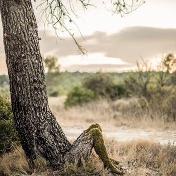 perfume man woman merge human nature 2 perfume man woman merge human nature 2