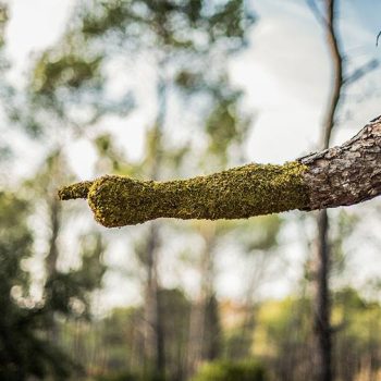 perfume man woman merge human nature 3 perfume man woman merge human nature 3