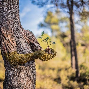 perfume man woman merge human nature 5 perfume man woman merge human nature 5