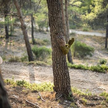 perfume man woman merge human nature 7 perfume man woman merge human nature 7