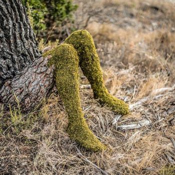 perfume man woman merge human nature 8 perfume man woman merge human nature 8