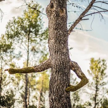 perfume man woman merge human nature 9 perfume man woman merge human nature 9