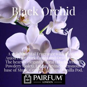 Black Orchid Pairfum London Cassis Violet