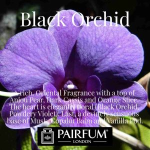 Black Orchid Pairfum London Violet Musk