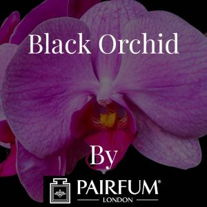 Black Orchid Pairfum London