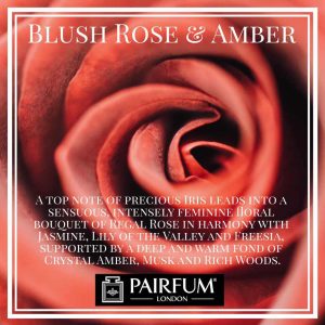 Blush Rose Amber Pairfum London