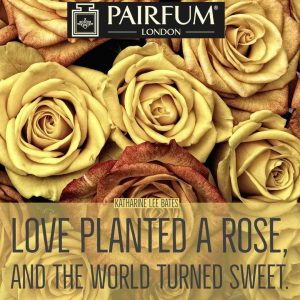 Love Planted A Rose Pairfum London