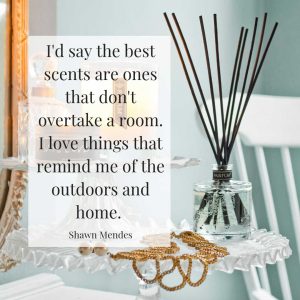 shawn mendes best scents room outdoors home shawn mendes best scents room outdoors home