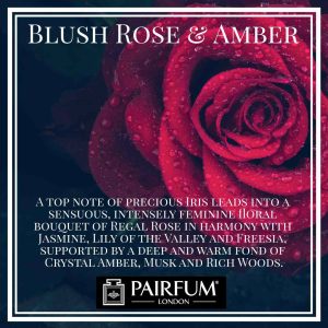 Blush Rose Amber Pairfum London Amber