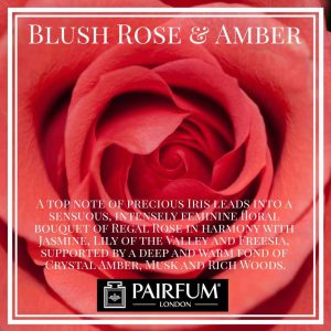 Blush Rose Amber Pairfum London Jasmine