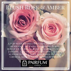 Blush Rose Amber Pairfum London Musk Freesia