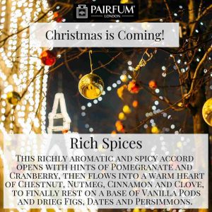 Christmas Coming Pairfum Fragrance Shop Light Spruce