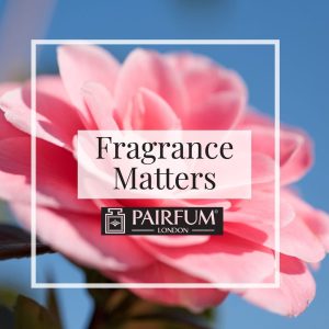 Fragrance Matters Camellia