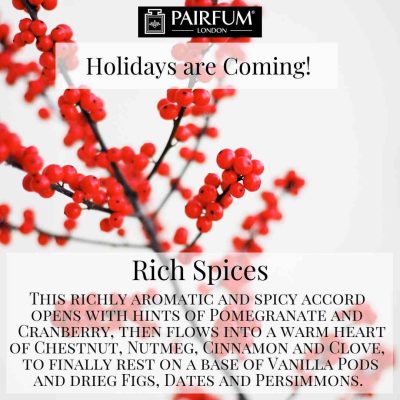 Holidays Coming Pairfum Fragrance Rich Berry Holidays Coming Pairfum Fragrance Rich Berry