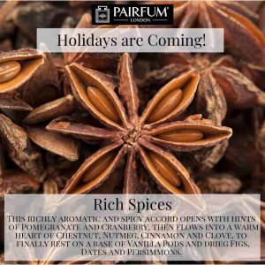 Holidays Coming Pairfum Fragrance Rich Spices Anise Star