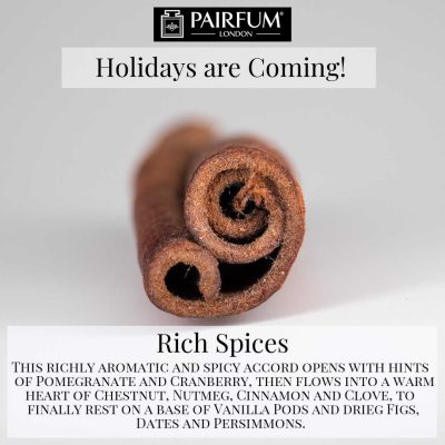 Holidays Coming Pairfum Fragrance Rich Spices Cinnamon Holidays Coming Pairfum Fragrance Rich Spices Cinnamon