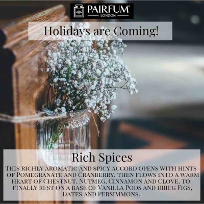 Holidays Coming Pairfum Fragrance Rich Spices Fireplace Deco Holidays Coming Pairfum Fragrance Rich Spices Fireplace Deco