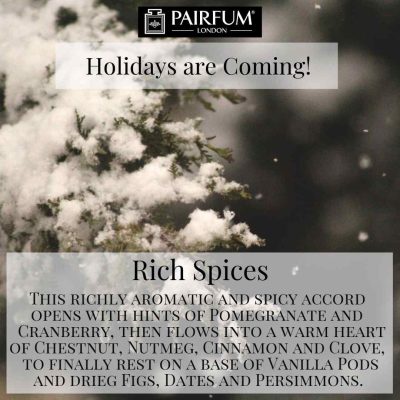 Holidays Coming Pairfum Fragrance Rich Spices Forest Snow Holidays Coming Pairfum Fragrance Rich Spices Forest Snow