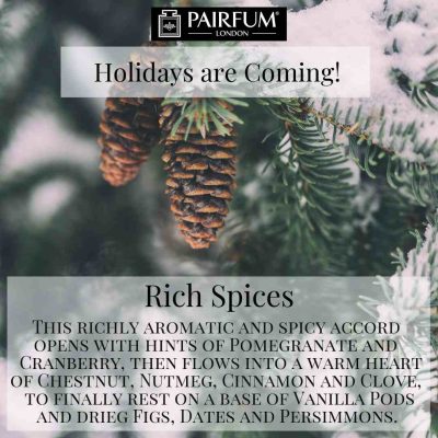 Holidays Coming Pairfum Fragrance Rich Spices Spruce Cone Holidays Coming Pairfum Fragrance Rich Spices Spruce Cone