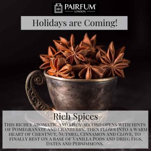 Holidays Coming Pairfum Fragrance Rich Spices Star Anise Cup